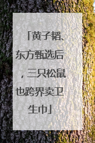 黄子韬、东方甄选后，三只松鼠也跨界卖卫生巾