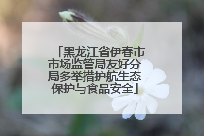 黑龙江省伊春市市场监管局友好分局多举措护航生态保护与食品安全