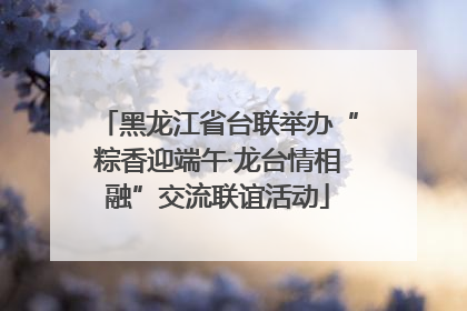 黑龙江省台联举办“粽香迎端午·龙台情相融”交流联谊活动