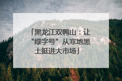 黑龙江双鸭山：让“绿字号”从寒地黑土挺进大市场