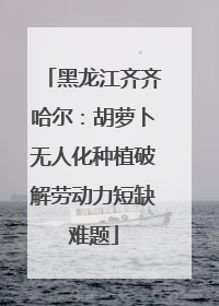 黑龙江齐齐哈尔：胡萝卜无人化种植破解劳动力短缺难题