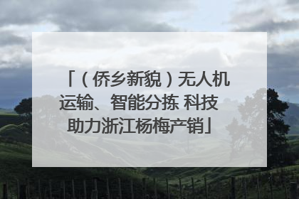 （侨乡新貌）无人机运输、智能分拣 科技助力浙江杨梅产销