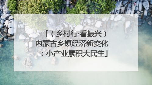 （乡村行·看振兴）内蒙古乡镇经济新变化：小产业累积大民生