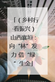（乡村行·看振兴）山西襄垣：向“林”发力 借“绿”生金