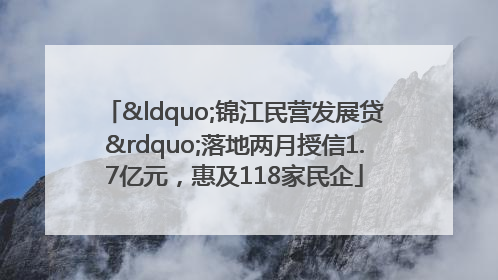 “锦江民营发展贷”落地两月授信1.7亿元，惠及118家民企