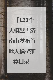 120个大模型！济南市发布首批大模型推荐目录