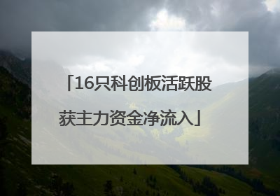 16只科创板活跃股获主力资金净流入