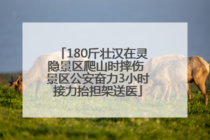 180斤壮汉在灵隐景区爬山时摔伤 景区公安奋力3小时接力抬担架送医