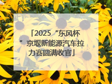 2025“东风杯”京堰新能源汽车拉力赛圆满收官