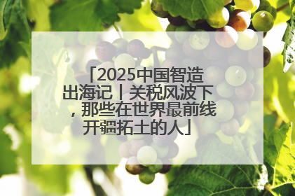 2025中国智造出海记丨关税风波下，那些在世界最前线开疆拓土的人