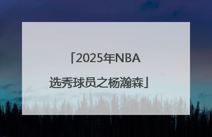 2025年NBA选秀球员之杨瀚森