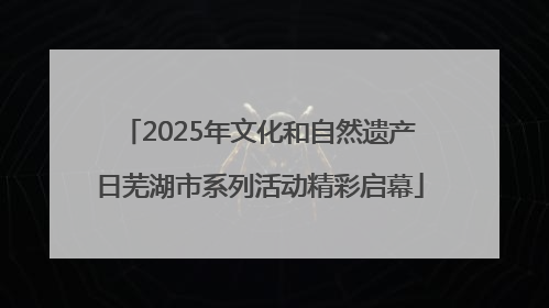 2025年文化和自然遗产日芜湖市系列活动精彩启幕