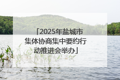 2025年盐城市集体协商集中要约行动推进会举办