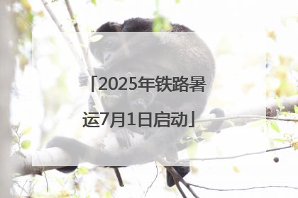 2025年铁路暑运7月1日启动