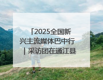 2025全国新兴主流媒体巴中行｜采访团在通江县瞻仰全国最大红军烈士陵园