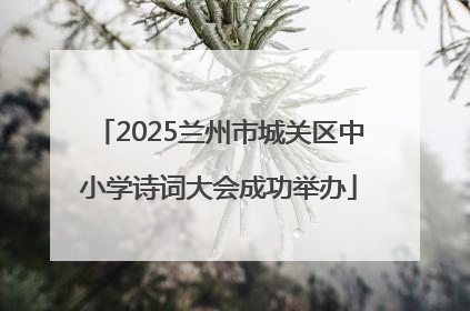2025兰州市城关区中小学诗词大会成功举办