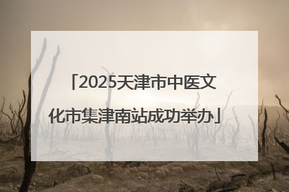 2025天津市中医文化市集津南站成功举办