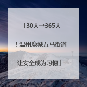 30天→365天！温州鹿城五马街道让安全成为习惯