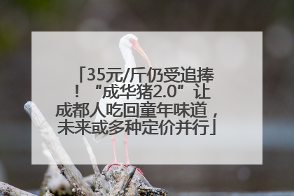 35元/斤仍受追捧！“成华猪2.0”让成都人吃回童年味道，未来或多种定价并行