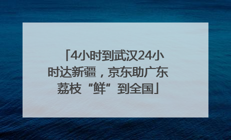 4小时到武汉24小时达新疆，京东助广东荔枝“鲜”到全国