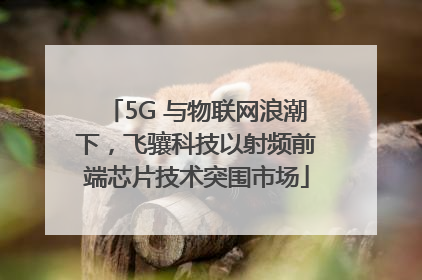 5G 与物联网浪潮下，飞骧科技以射频前端芯片技术突围市场