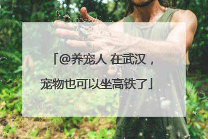 @养宠人 在武汉，宠物也可以坐高铁了