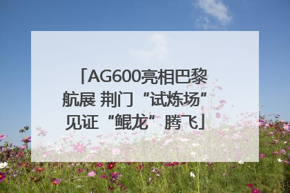 AG600亮相巴黎航展 荆门“试炼场”见证“鲲龙”腾飞