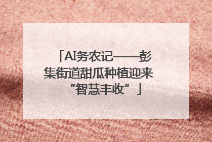 AI务农记——彭集街道甜瓜种植迎来“智慧丰收”