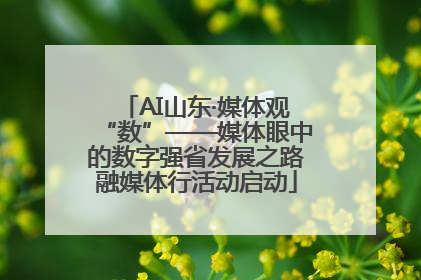 AI山东·媒体观“数”——媒体眼中的数字强省发展之路融媒体行活动启动
